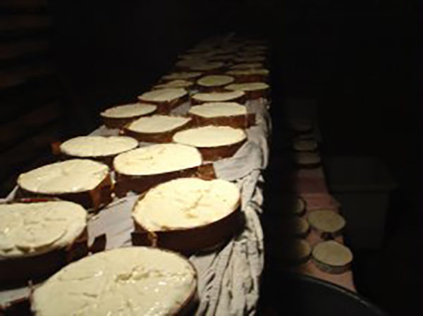 Fromagerie Boujon Fromages De Savoie Et Terroirs Français 